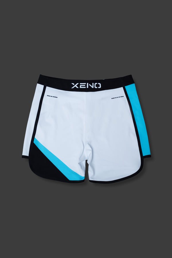 XENO PHASE COLOR STAGE SHORTS ICE EDGE