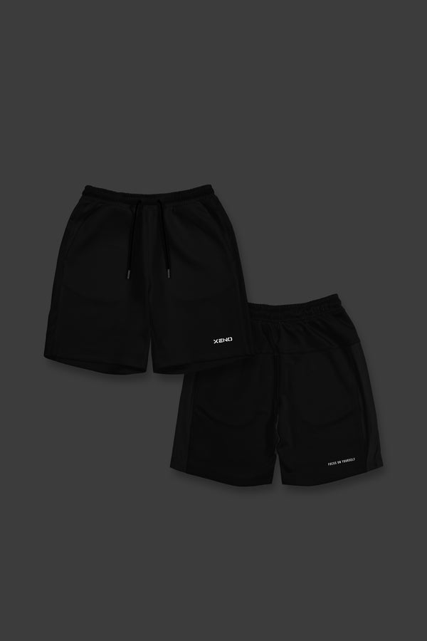 Setup – XENO