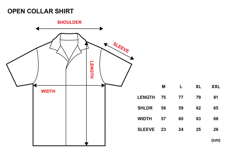 XENO PILE OPEN COLLAR SHIRT BLUE GRAY